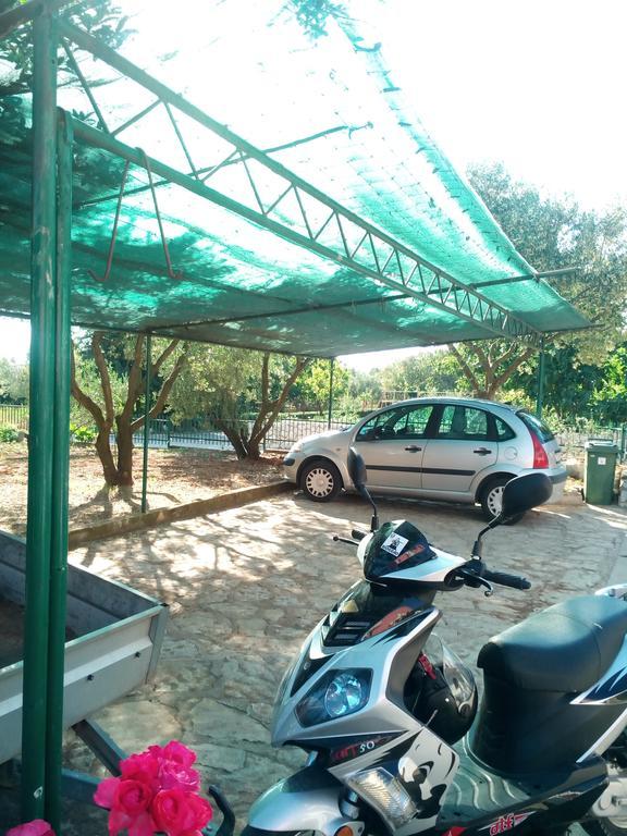 Apartmani Kapitanovic Biograd Na Moru Exterior photo