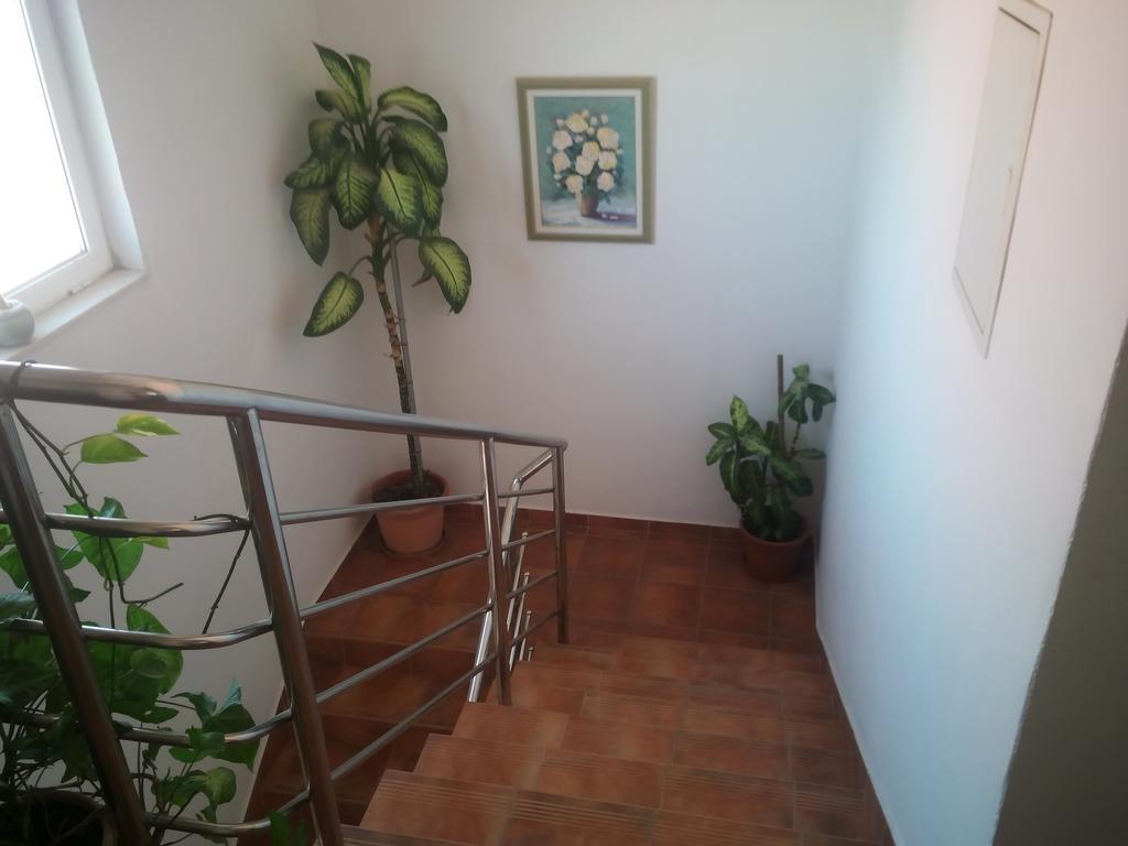 Apartmani Kapitanovic Biograd Na Moru Exterior photo